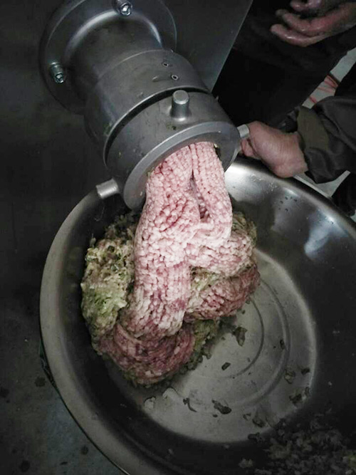 meat grinder machine Testing with pork fat meat & skin &scallion